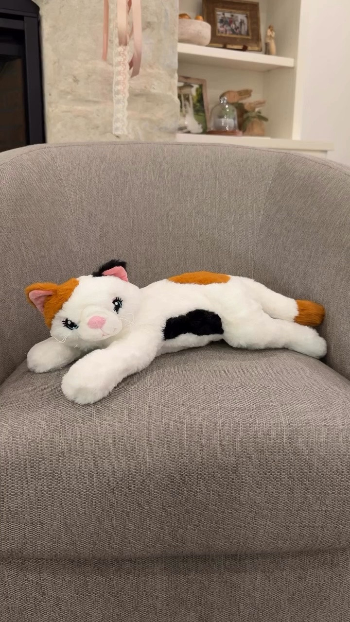 Hey look at this…the most adorable gift for the cat loving kiddo in your life. Watch until the end to see the birthday girl’s reaction…it’s priceless! 

The story behind the gift:
When I was little m, my favorite toy was a stuffed dog with a pouch & it was a surprise how many puppies you’d get & what they’d look like. It was such a fond memory I knew I had to find a cat version for my niece. Her reaction was everything I had hoped for & more! 💖
.
.
.
.
.
.
.
.
cat stuffed animal 
Kids cat gift ideas
Kids cat themed birthday party 
Kids birthday ideas
Turning 8
Girls 8th birthday