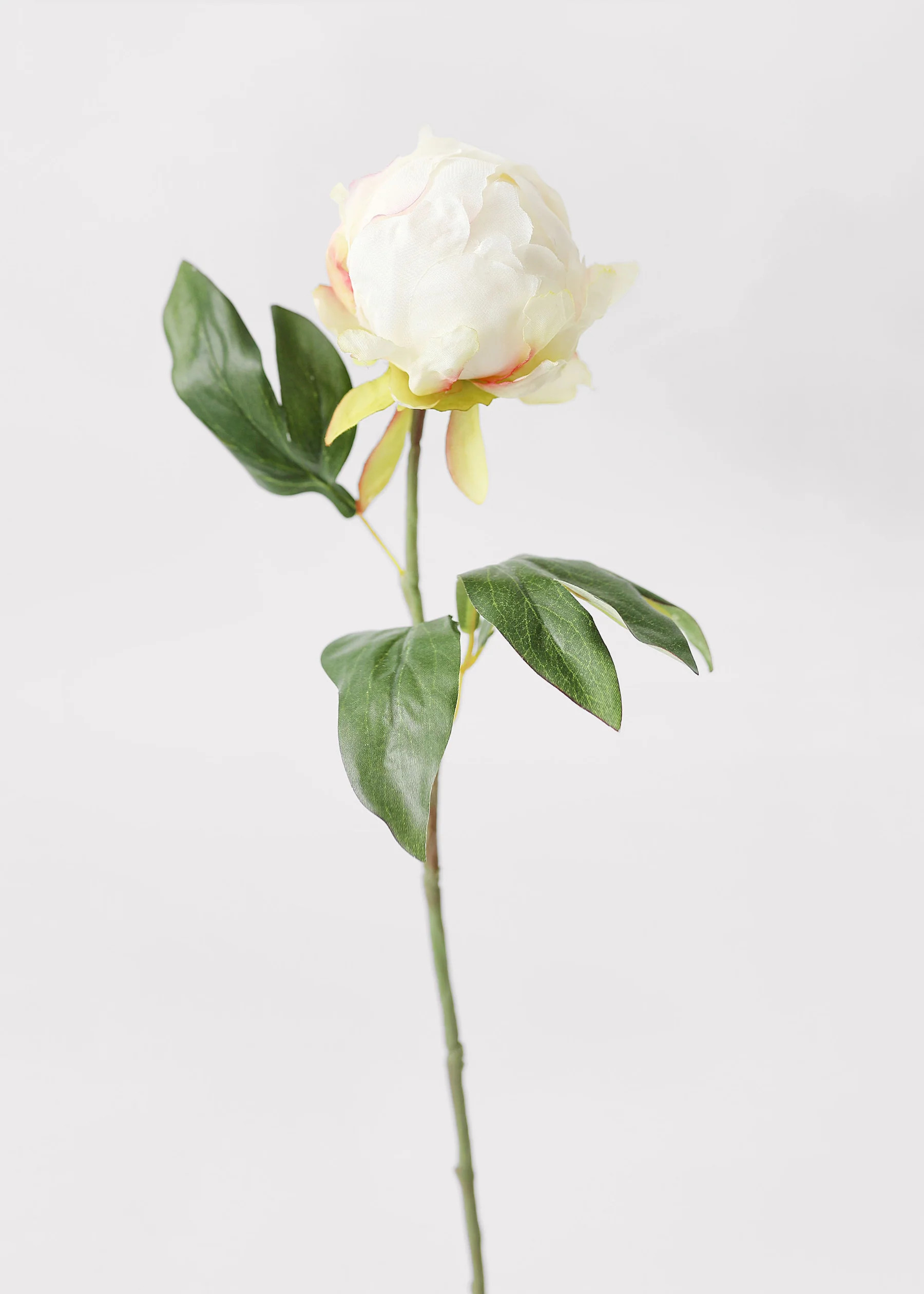Artificial Flower Peony Bud in Cream - 18" | Afloral