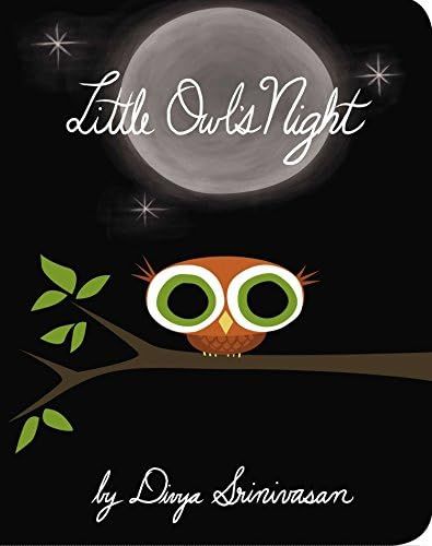 Little Owl's Night | Amazon (US)