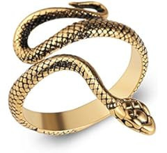HZMAN Snake Ring Men Women Gothic Jewelry Retro Animal Fashion Personality Stainless Steel Ring | Amazon (US)