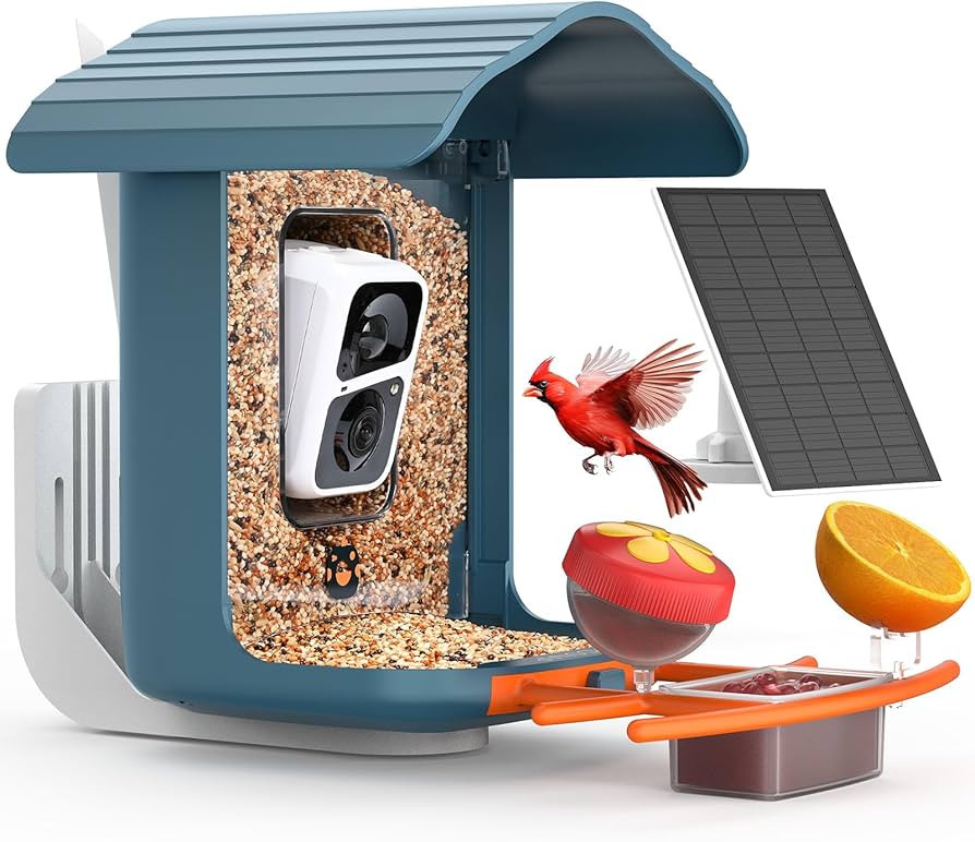 birdsnap® PAV - Smart Bird Feeder with Camera, 5 DIY Add-ons & 64G SD Card Auto Record Bird Vide... | Amazon (US)