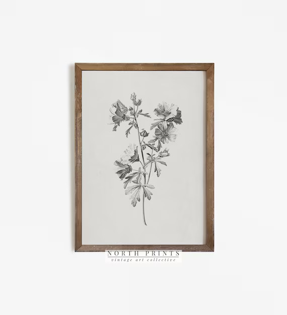 Botanical Sketch  Vintage Farmhouse Print PRINTABLE Wall Art | Etsy | Etsy (US)
