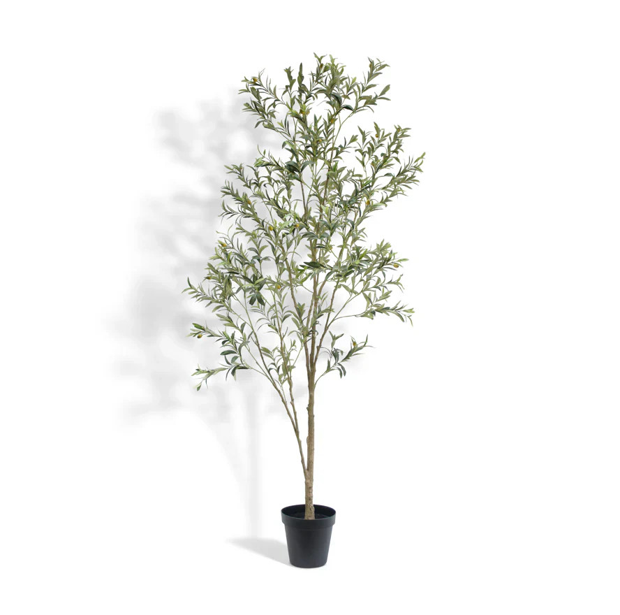 7' Wispy Olive Tree – Lifelike Greenery | CG Hunter