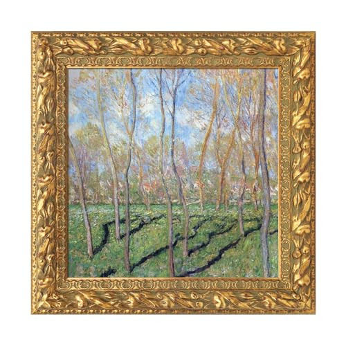 FOLKOR Antique Gold 6x6 Canvas Frame, 2” Wide Solid Wood Baroque Ornate Art Frame for Oil Paintings Prints Pictures Posters, Finished Open Back Frame, No Back & Cover (Gold) | Amazon (US)