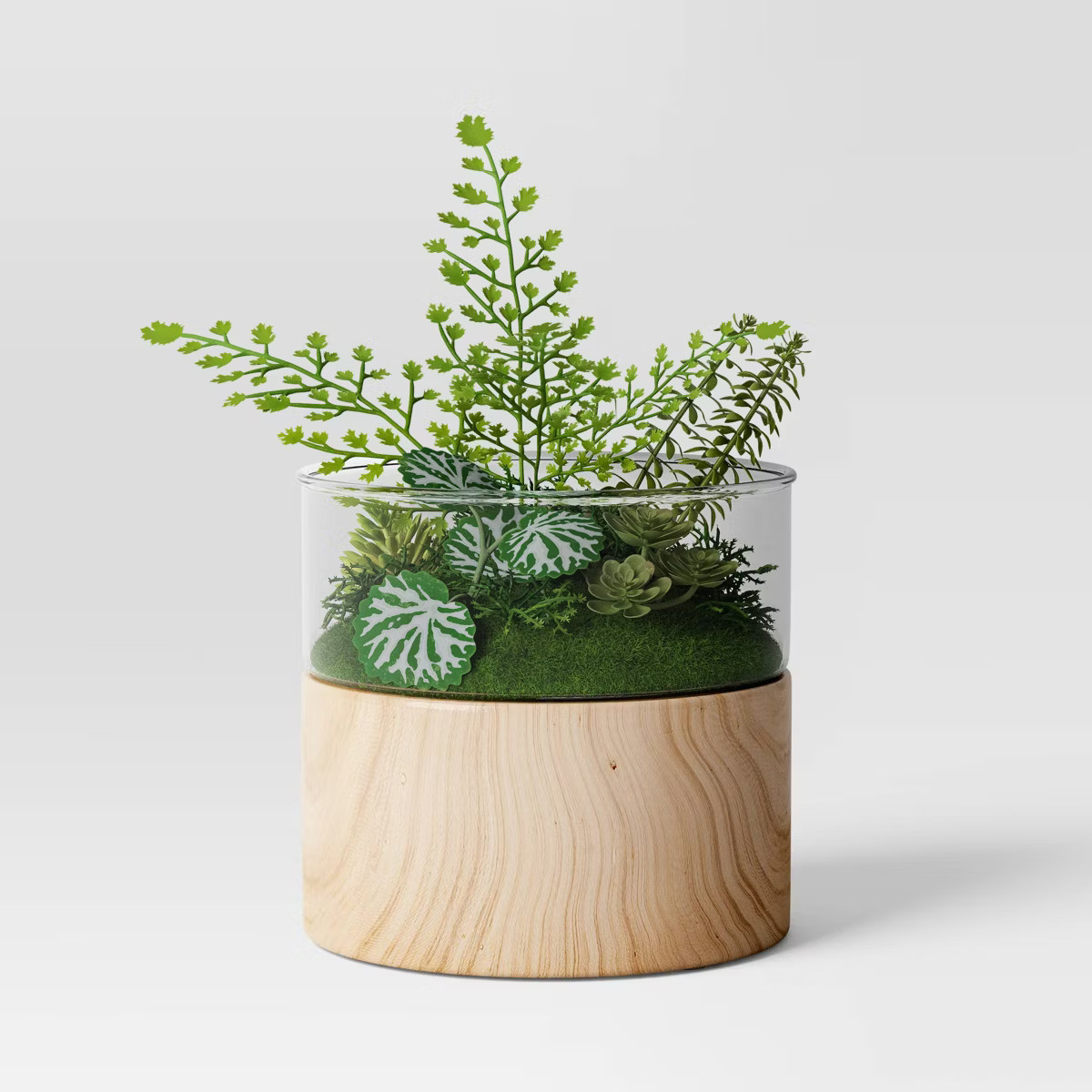 Round Wood Terrarium - Threshold™ | Target