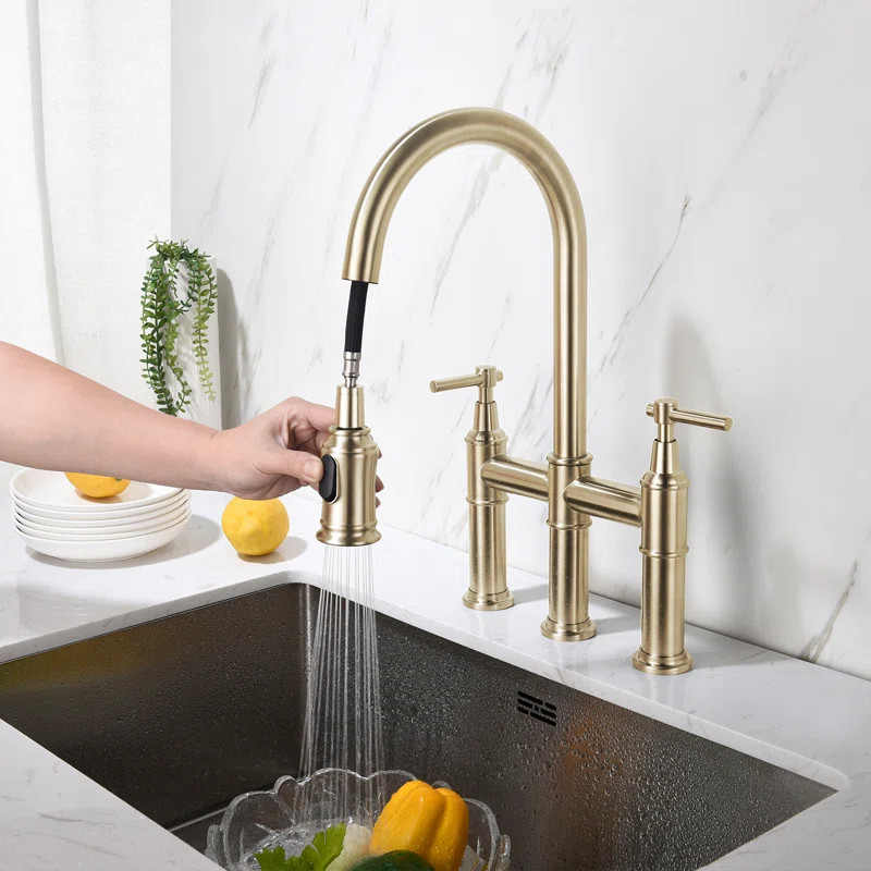 DLGATHBKF01BG Dilon Pull Down Kitchen Faucet | Wayfair Professional