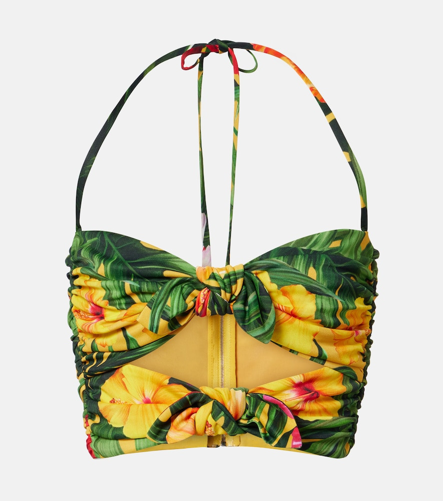 Dolce&Gabbana Cutout floral halterneck crop top | Mytheresa (US/CA)