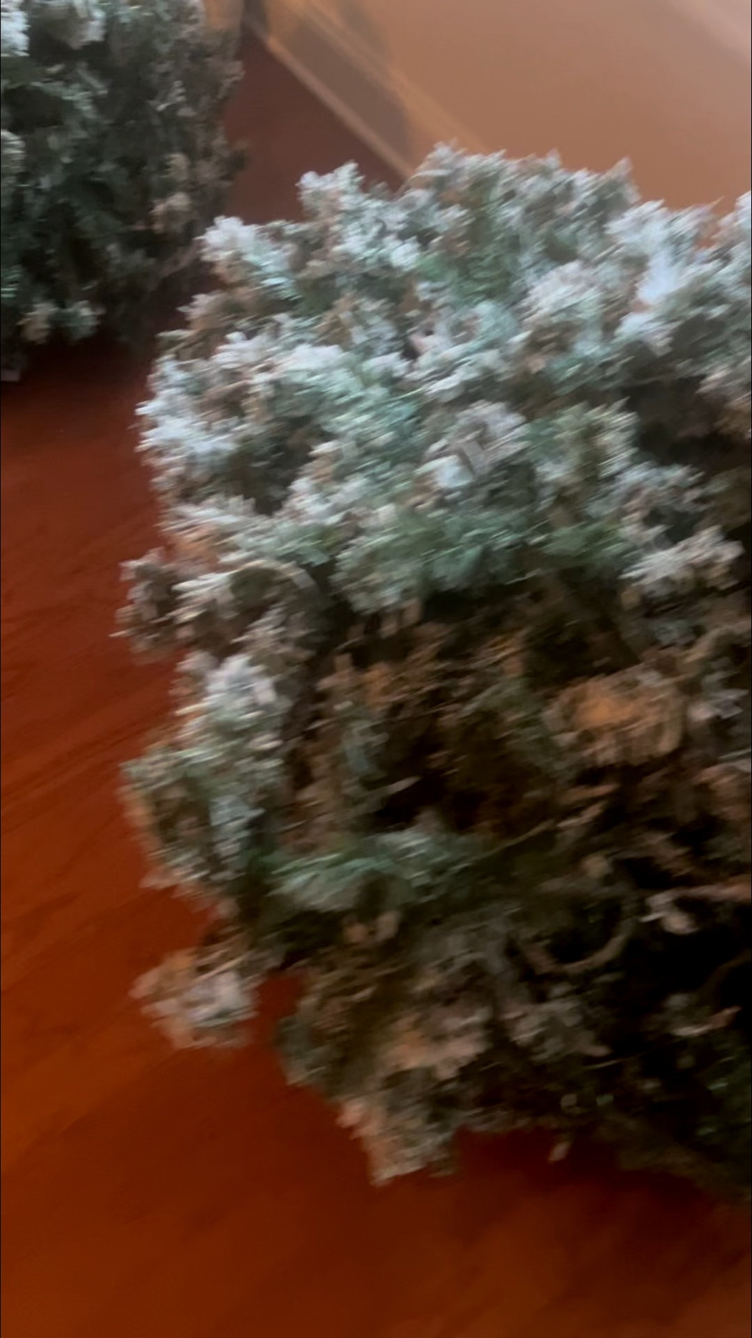 Here’s my Christmas tree! It’s a 9ft flocked tree I got from Walmart! I’ve had it for about five years and it has held up really well  

#LTKstorytime #LTKHoliday