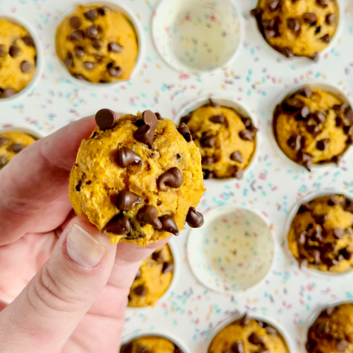 Mini pumpkin muffins 
