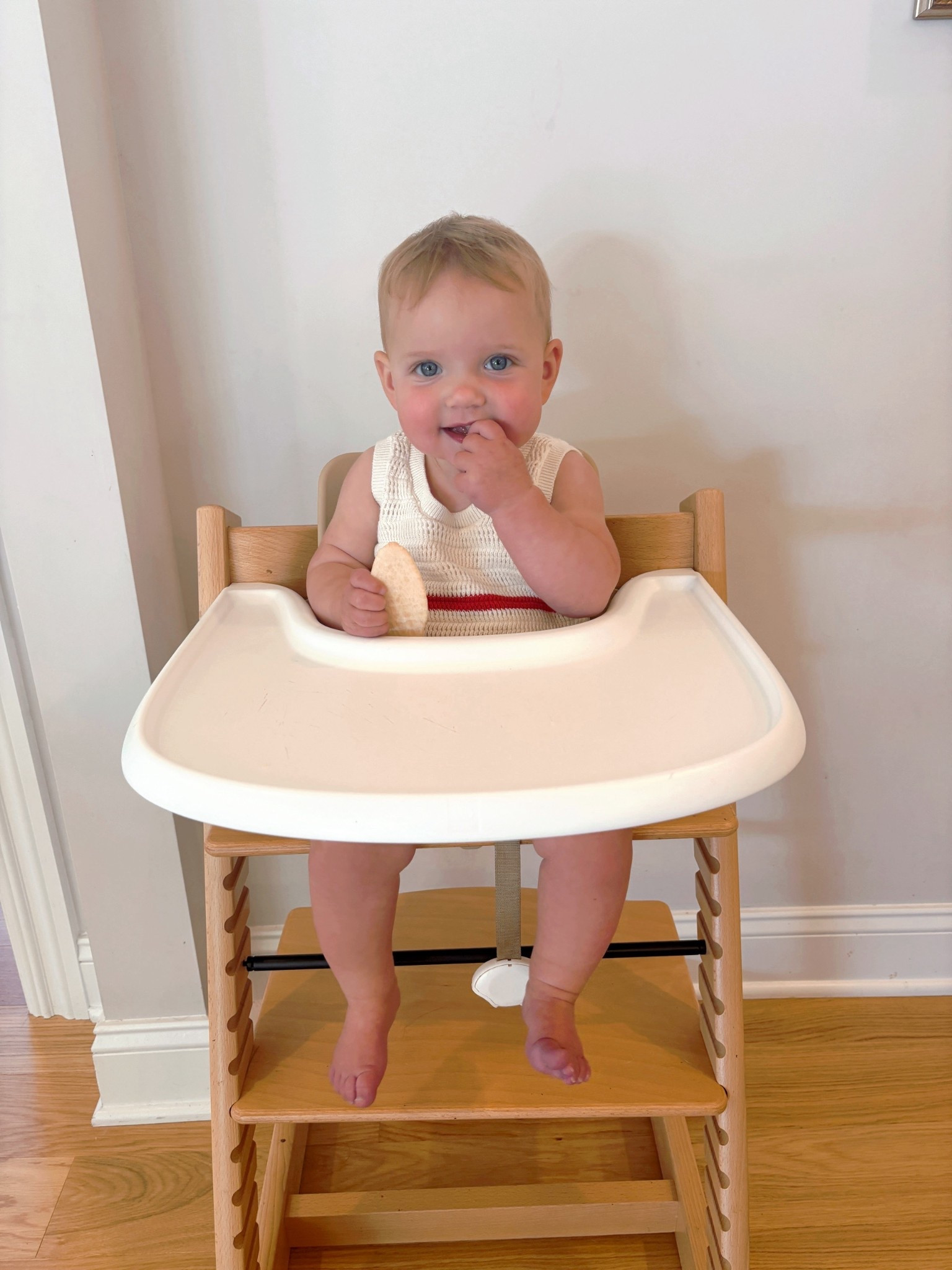 Baby & Toddle High Chair


#LTKKids #LTKBaby #LTKBump