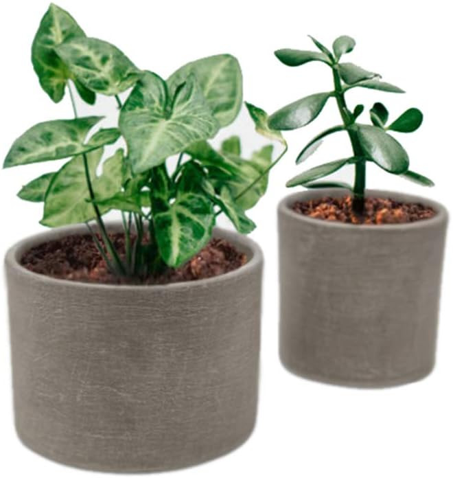 Elly Décor Set 2 Pieces 5" & 4" Ceramic Planters for Plants Succulents with Drainage Hole for In... | Amazon (US)