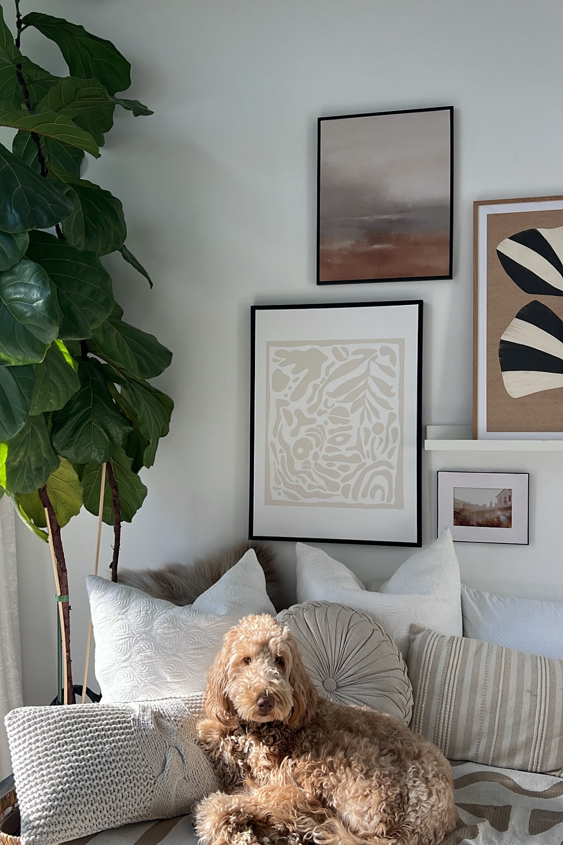 Maze loving the sunshine & gallery wall 



#LTKcasa #LTKgiftguide #LTKsale
