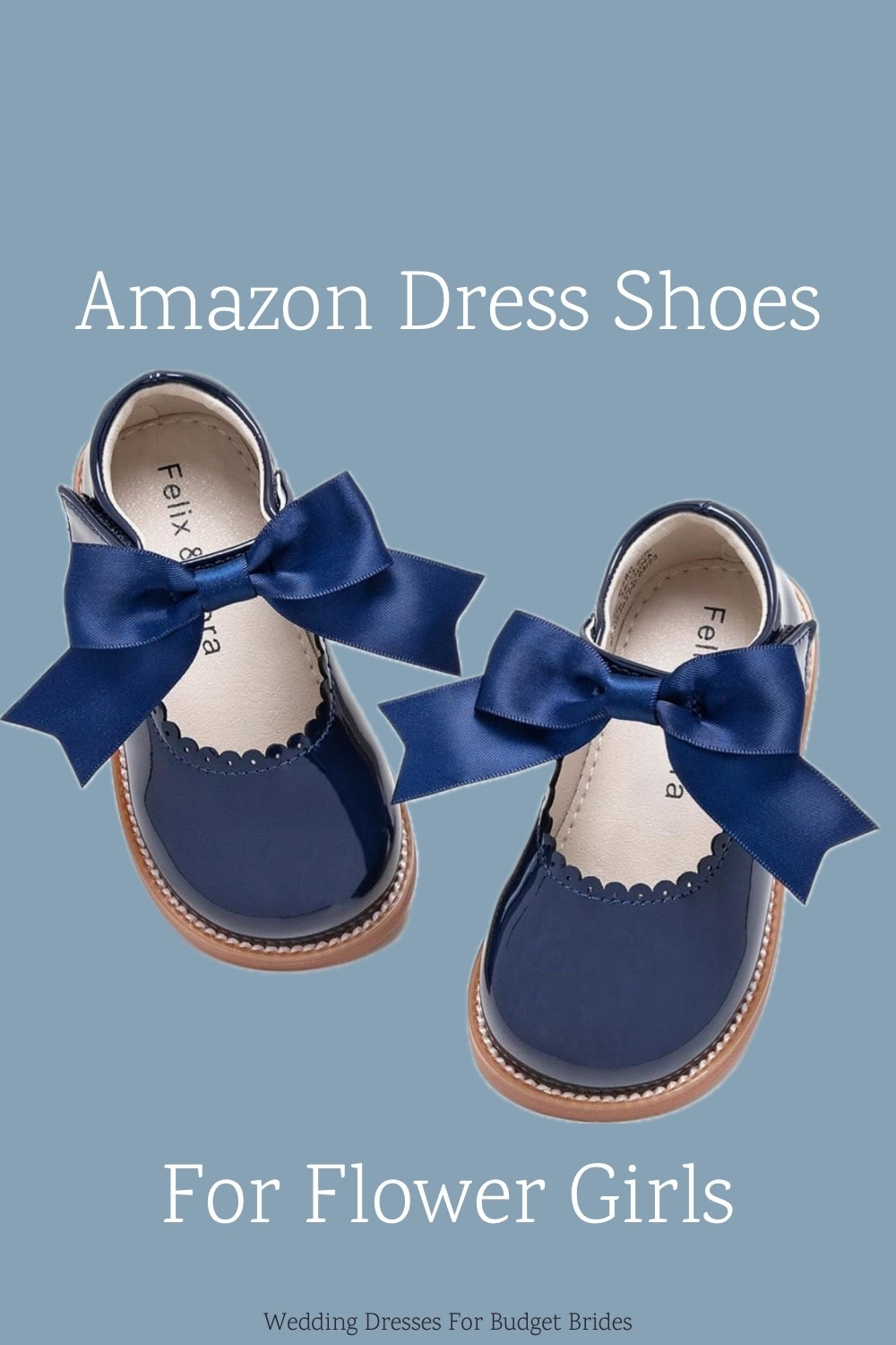 Super cute toddler flower girl shoes on Amazon. Other colors and styles available. 

Girl party shoes, girls dress shoes, girls blue shoes, blue mary janes.

#LTKWedding #LTKBaby #LTKKids