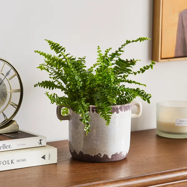 Churchgate Ceramic Plant Pot | Dunelm