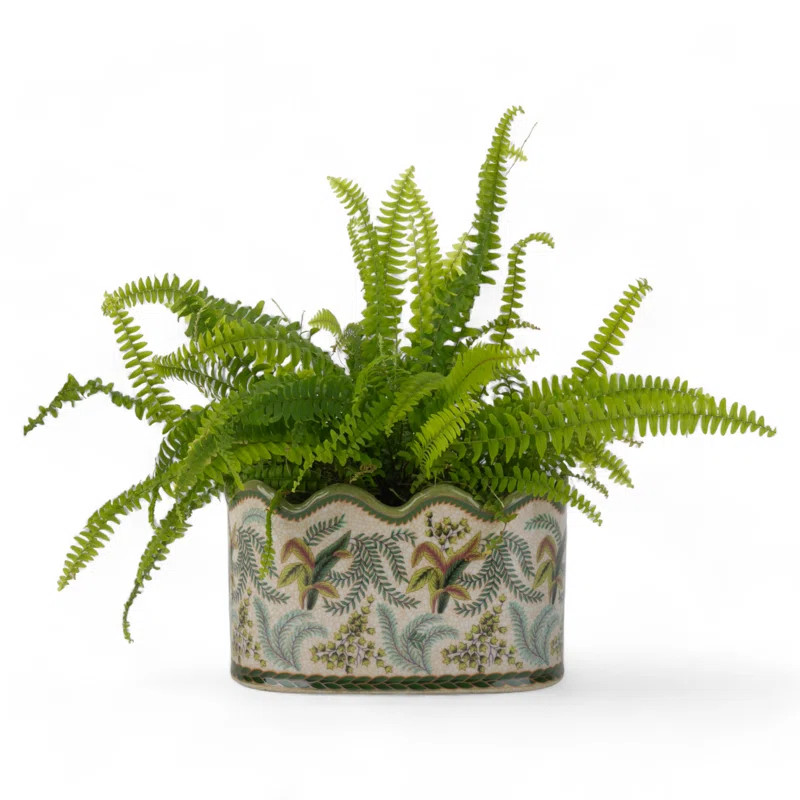 Fern Handmade Ceramic Planter | Perigold