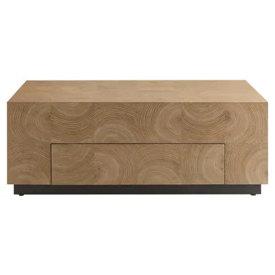 Justice Modern Classic Brown Oak Rectangular Storage Coffee Table | Kathy Kuo Home