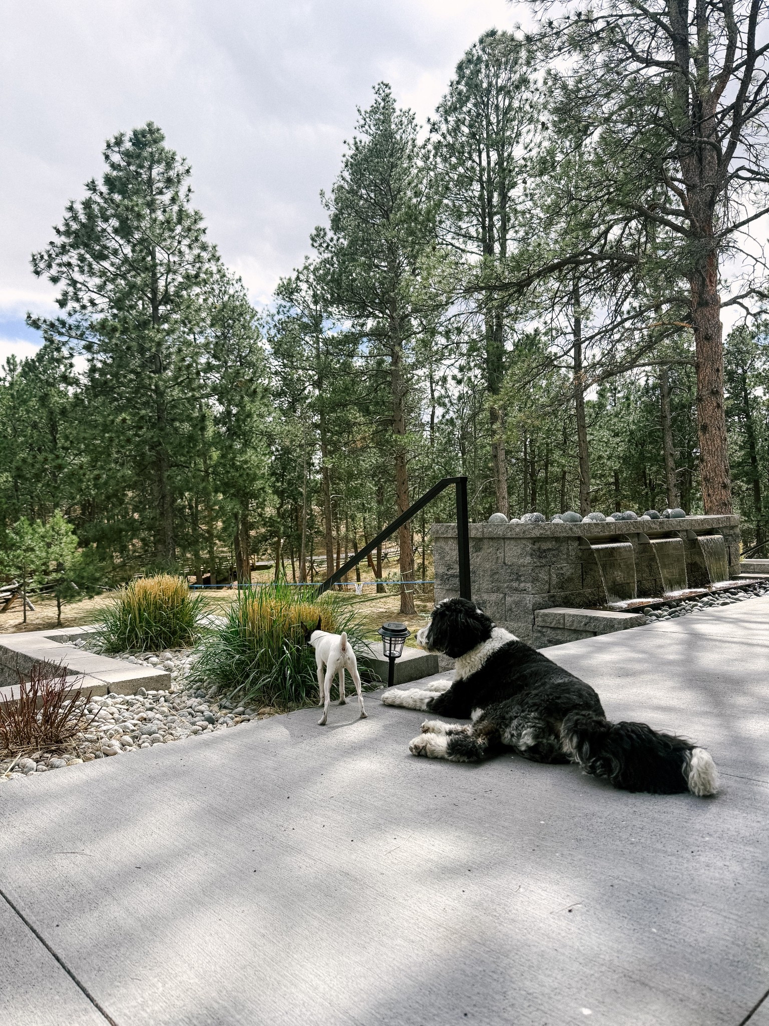 Cannot wait to be spending every day out on the patio! Linking some of my favorite planters and outdoor rugs.


#LTKHome #LTKdayinmylife #LTKSeasonal