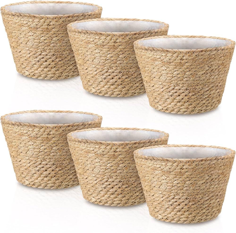 Barydat Set of 6 Large Seagrass Planter Basket Indoor 10.2" Plant Pots Rattan Woven Planter Flowe... | Amazon (US)