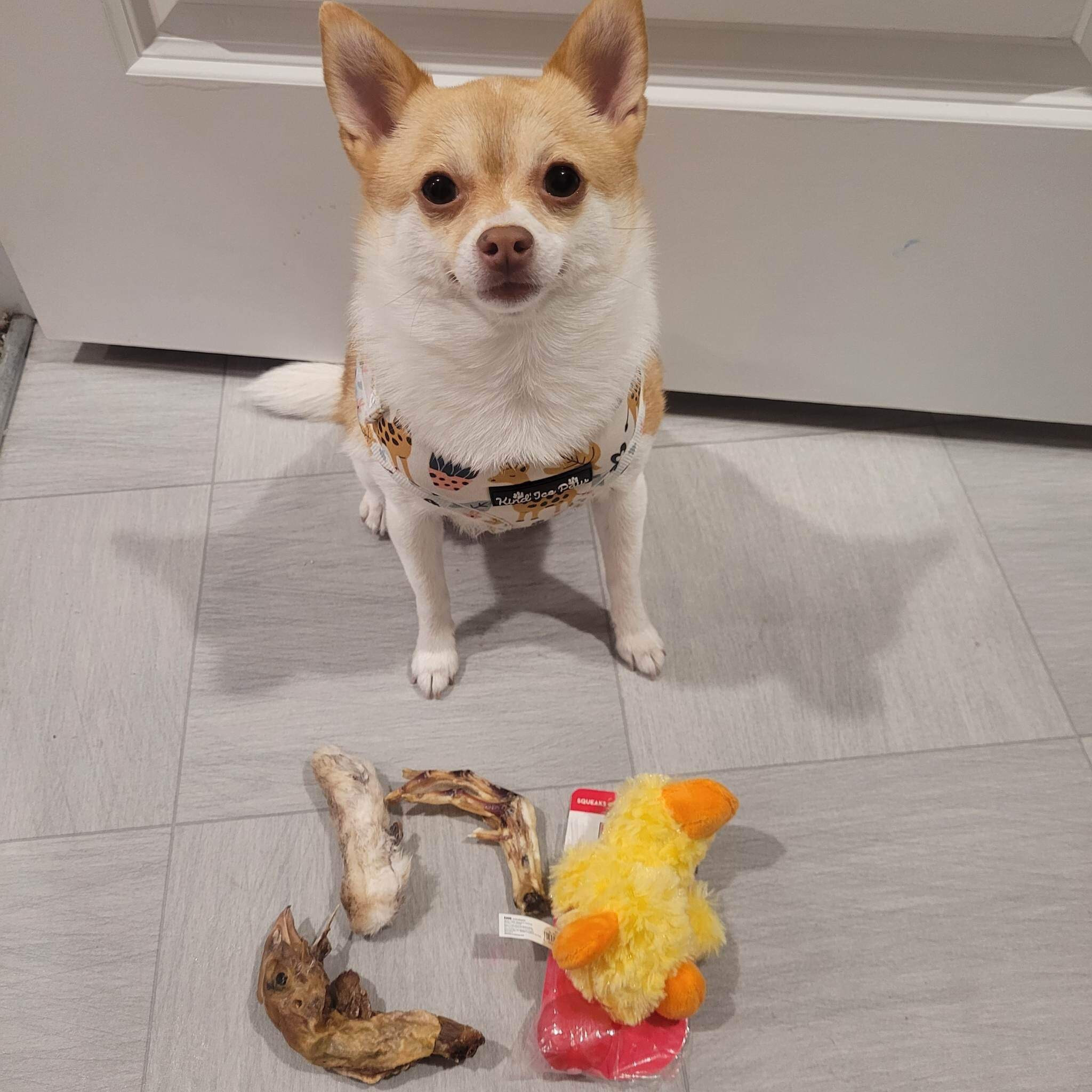 birthday girl🎉🎉