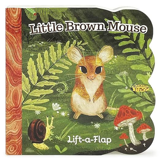 Little Brown Mouse - A Lift-a-Flap Board Book for Babies and Toddlers, Ages 1-4 | Amazon (US)