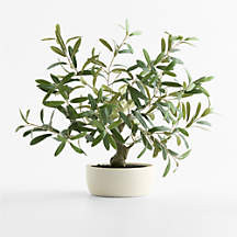 Potted Faux Olive Tree 20" + Reviews | Crate & Barrel | Crate & Barrel