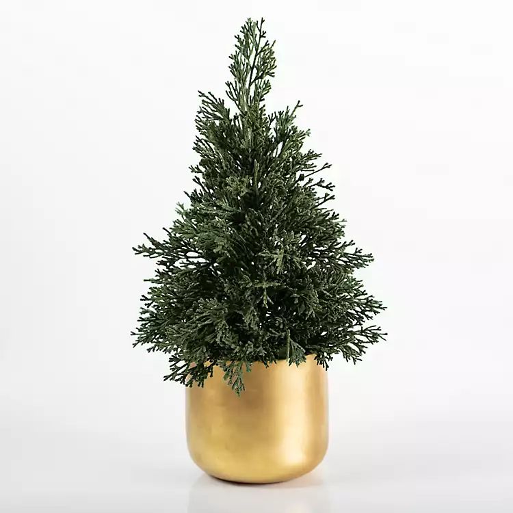 Mini Pine Christmas Tree in Gold Planter, 16 in. | Kirkland's Home
