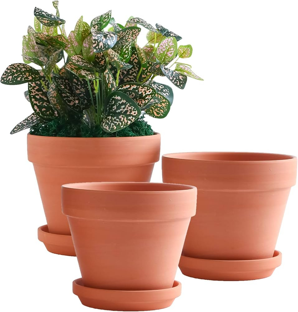Yishang 8 Inch Clay Pot for Plant with Saucer - 3 Pack Large Terra Cotta Plant Pot with Drainage ... | Amazon (US)