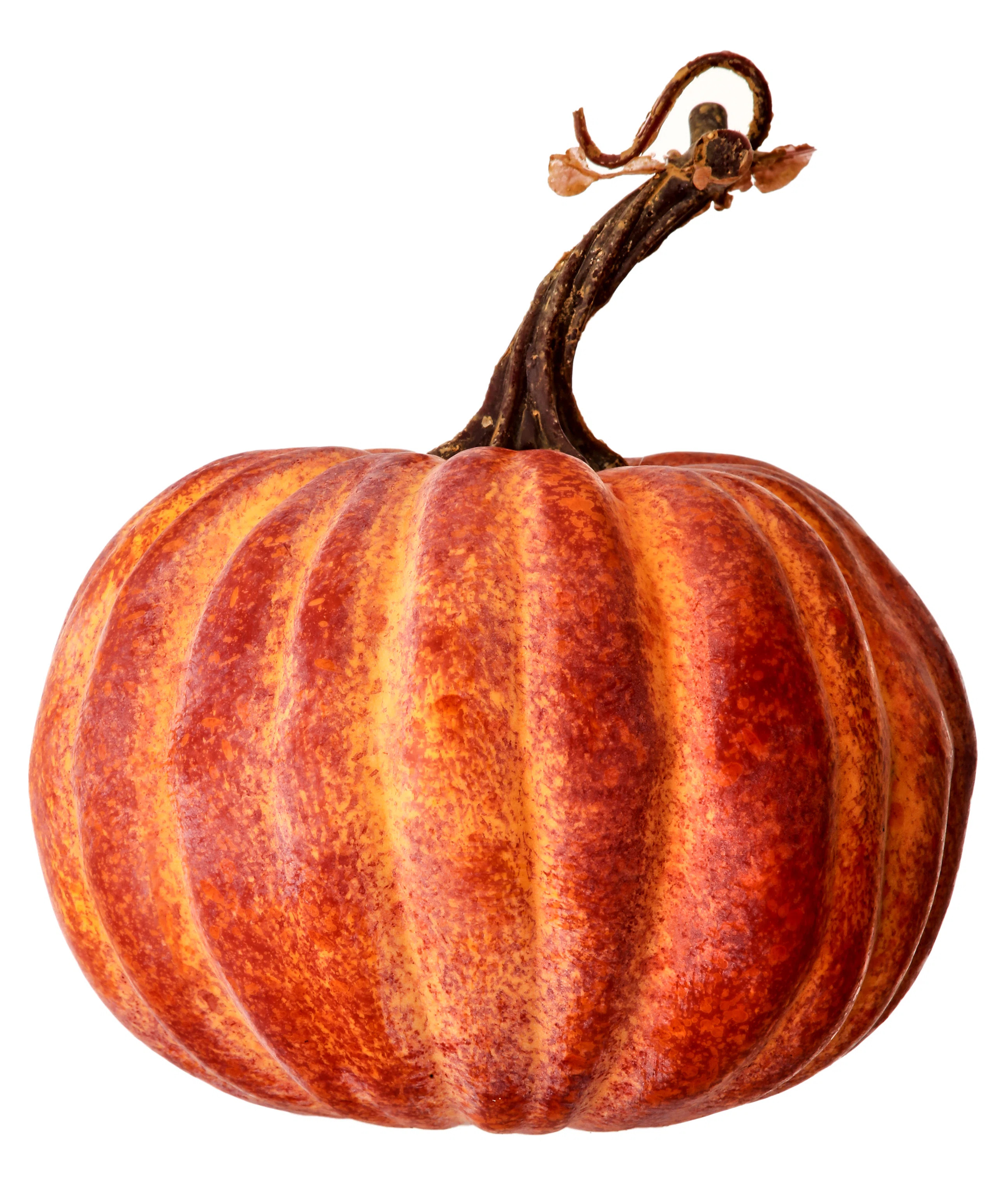 Latex Harvest Vine Pumpkin | Wayfair North America