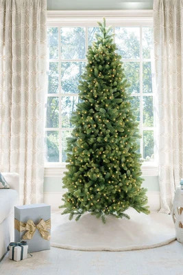 9' Royal Fir Slim Artificial Christmas Tree with 900 Warm White & Multi-Color LED Lights | King of Christmas