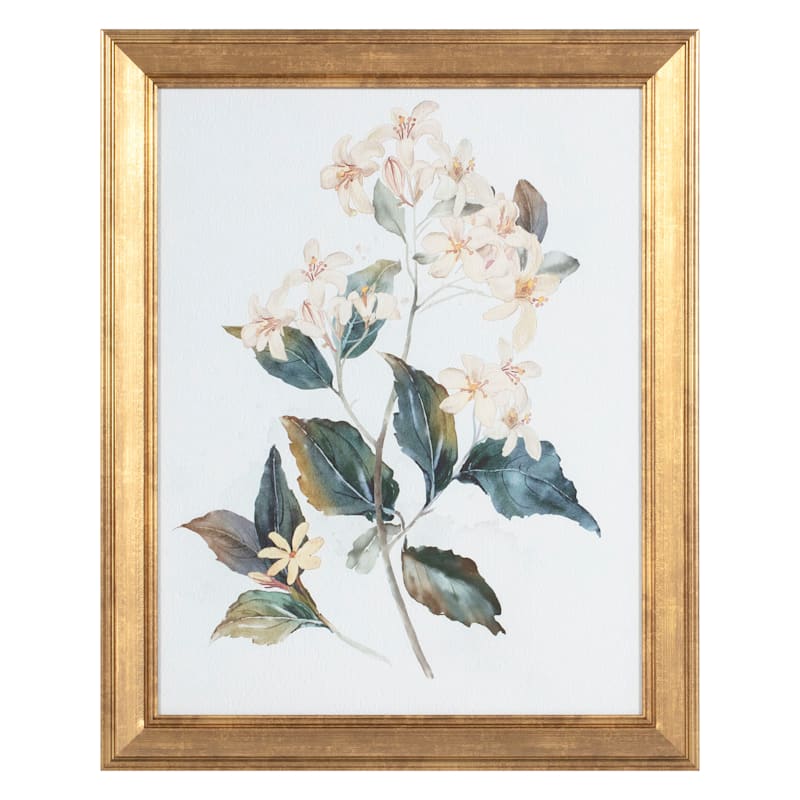 Glass Framed Floral Print Wall Art, 16x20 | At Home