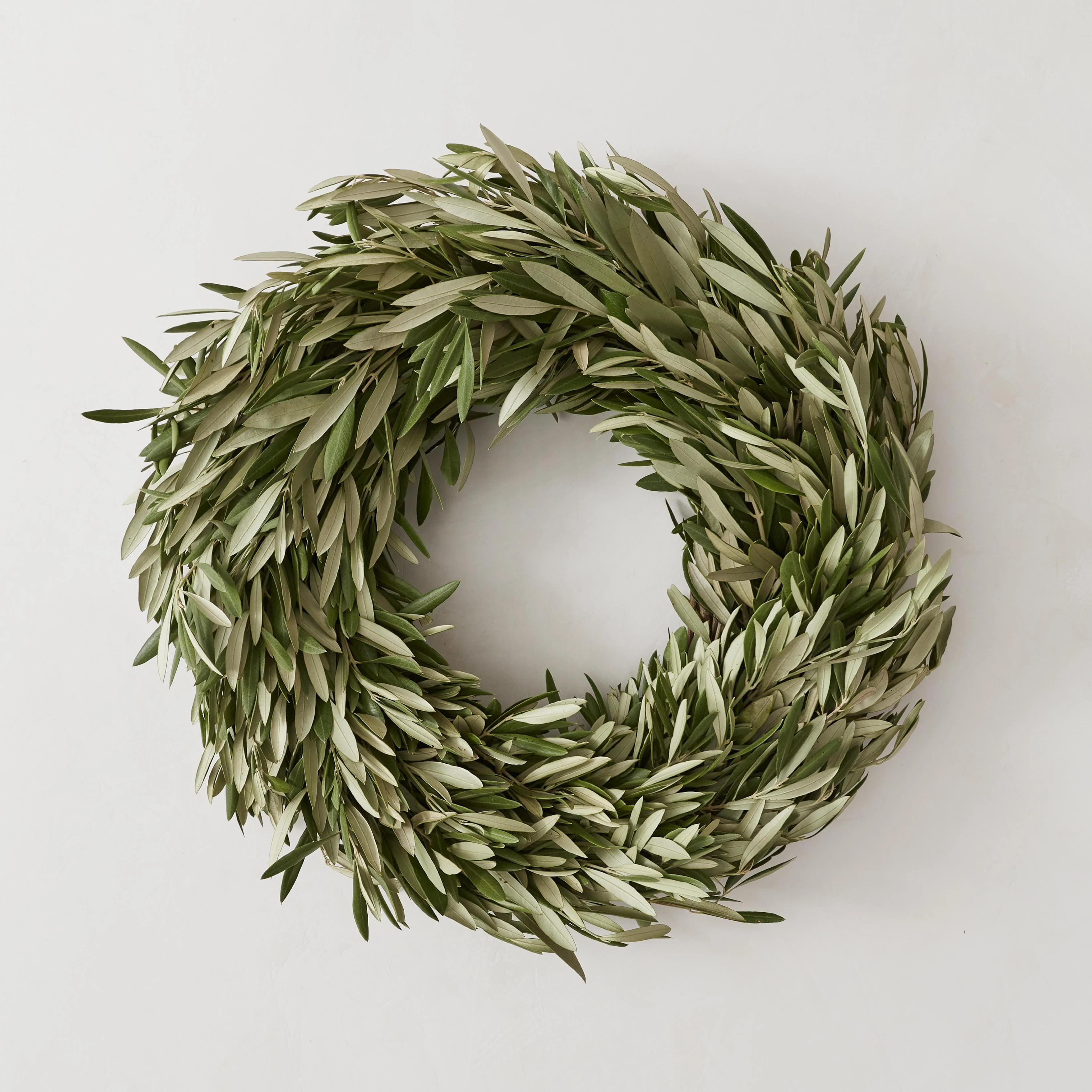 Fresh Olive Wreath - Medium | The Citizenry
