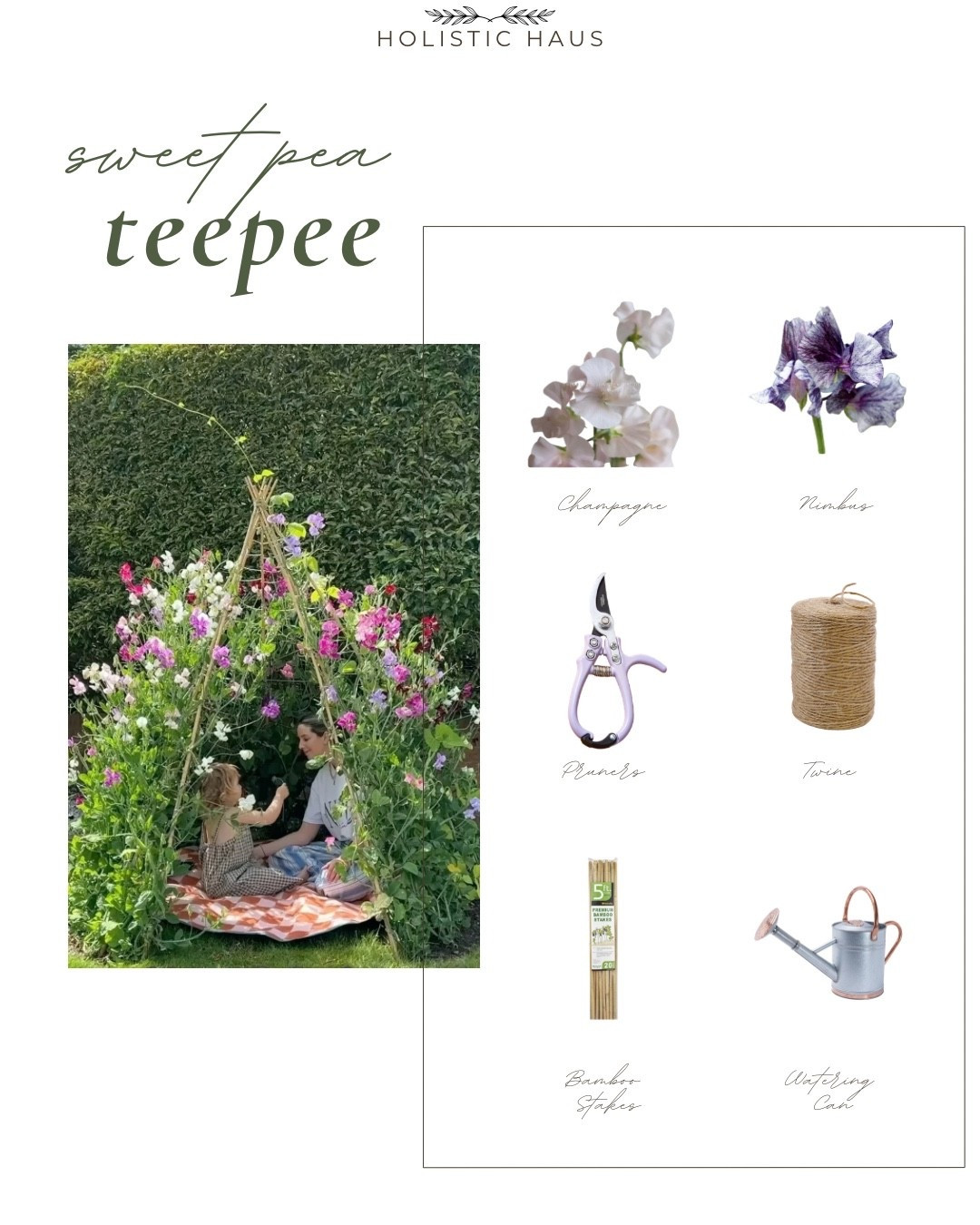I’m planning a sweet pea teepee this year to create fun memories for my kids, and fragrant blooms for my flower arrangements! 

Here are the supplies I’m using, and a few alternatives if you want to make one too! But start the seeds soon!! I’m going to be doing a winter sowing method to start the seeds; I’ll share that tomorrow!

#LTKSeasonal #LTKmomlife #LTKHome