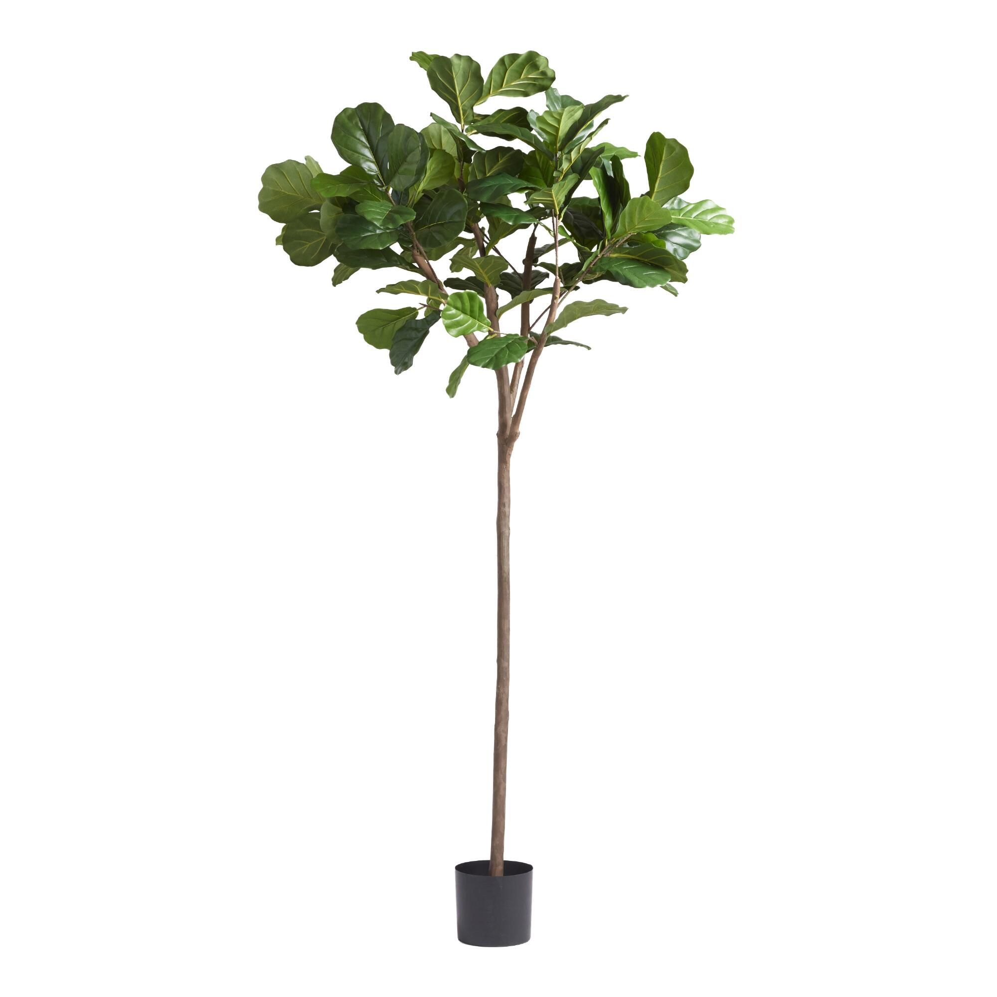 6 Foot Faux Fiddle Leaf Fig Tree: Green by World Market | World Market