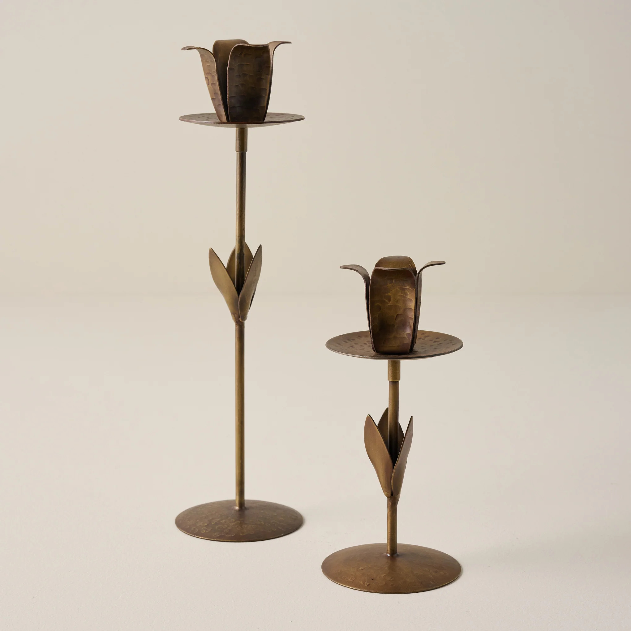 Forged Tulip Taper Holder | Magnolia