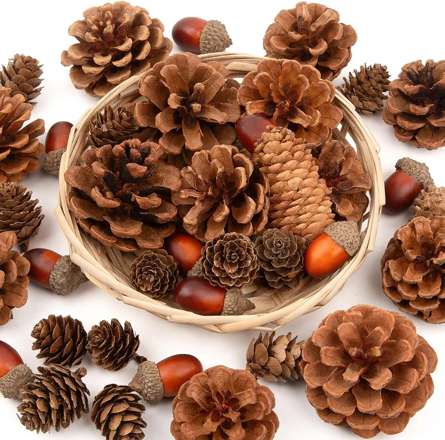 42 PCS Natural Pine Cones for Crafts Set Medium Small 0.7"-3.2" | Amazon (US)