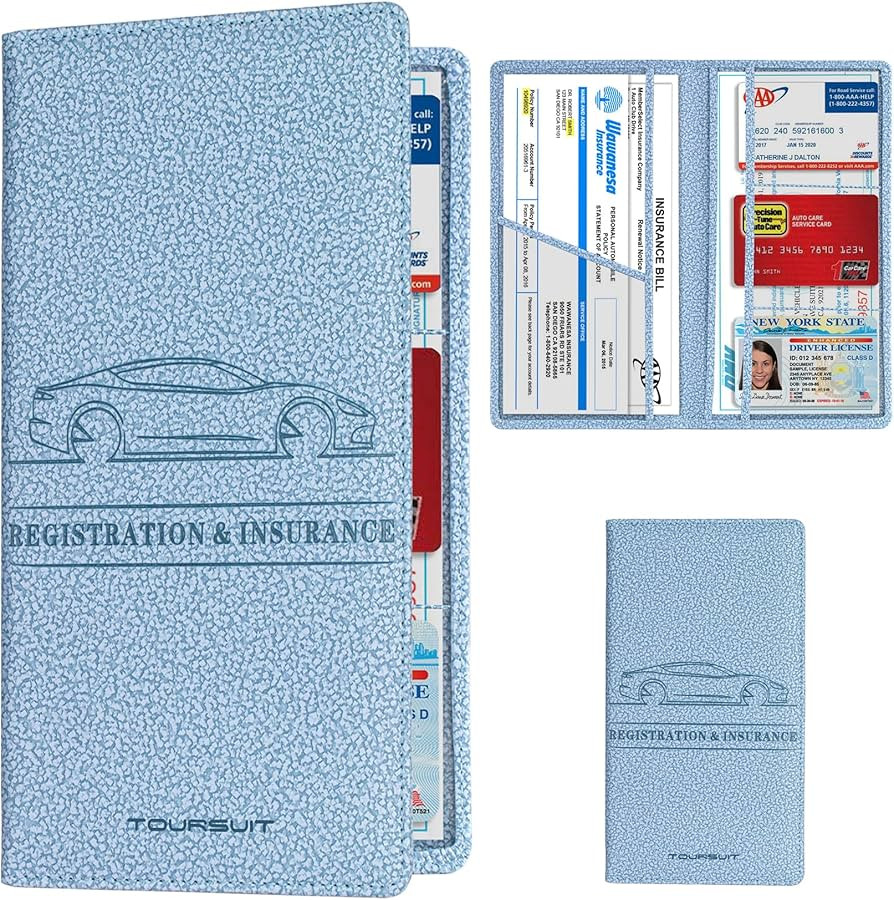 TOURSUIT Car Registration and Insurance Card Holder, Vehicle License Document Glove Box Compartme... | Amazon (US)