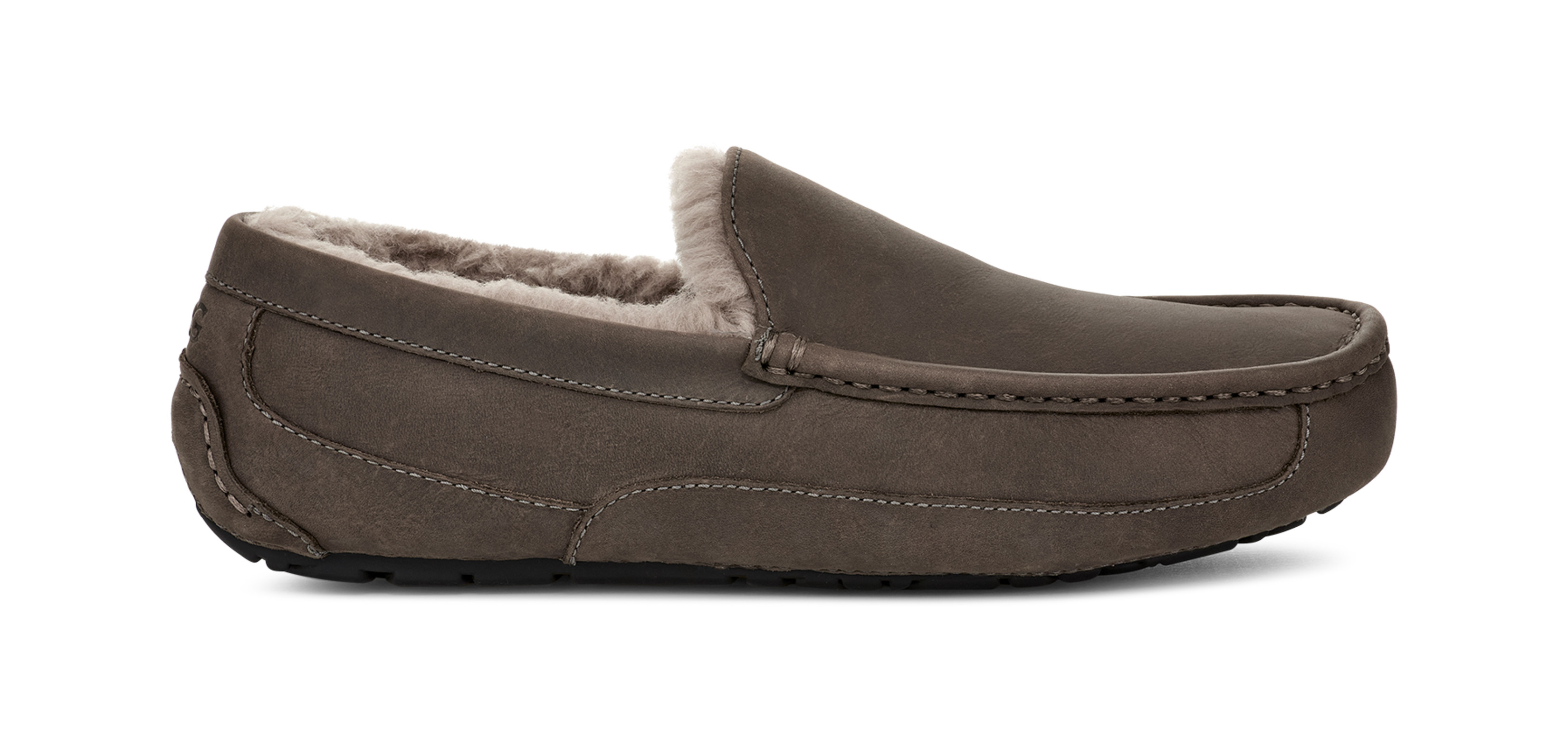Ascot | UGG (US)