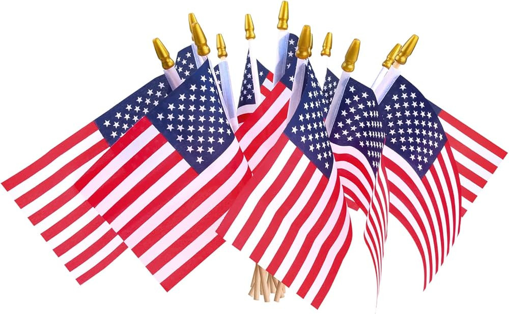 12 Pcs Small American Flags on Stick,4th of July Outdoor Decor Small US Flags Mini American 4''x6... | Amazon (US)
