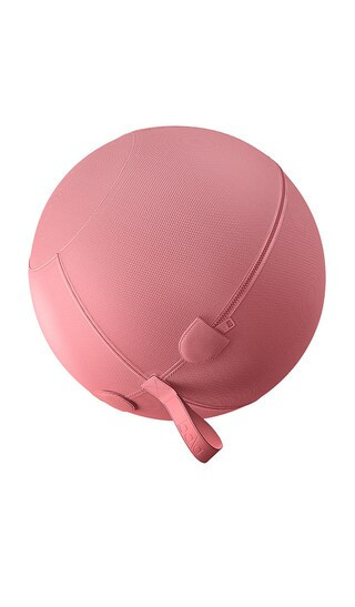 bala Balance Ball in Blush. | Revolve Clothing (Global)
