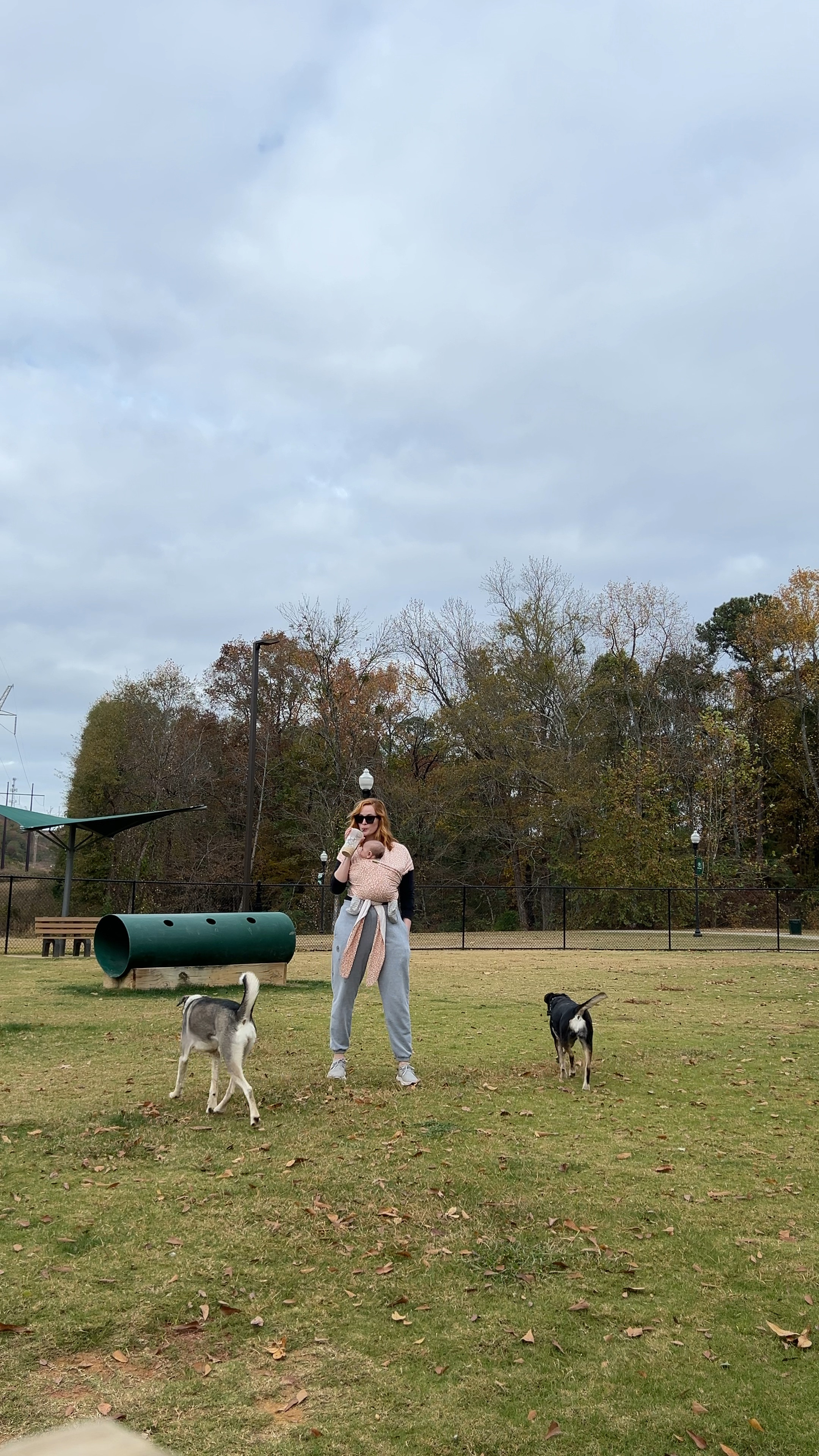 Dog park fall fashion 🤣 these are the perfect Amazon joggers for tall girls! I have them in 3 colors. And these sneakers are waterproof so if they get dirty, you can hose them down with your foot still in them!

#LTKfindsunder50 #LTKSeasonal #LTKVideo