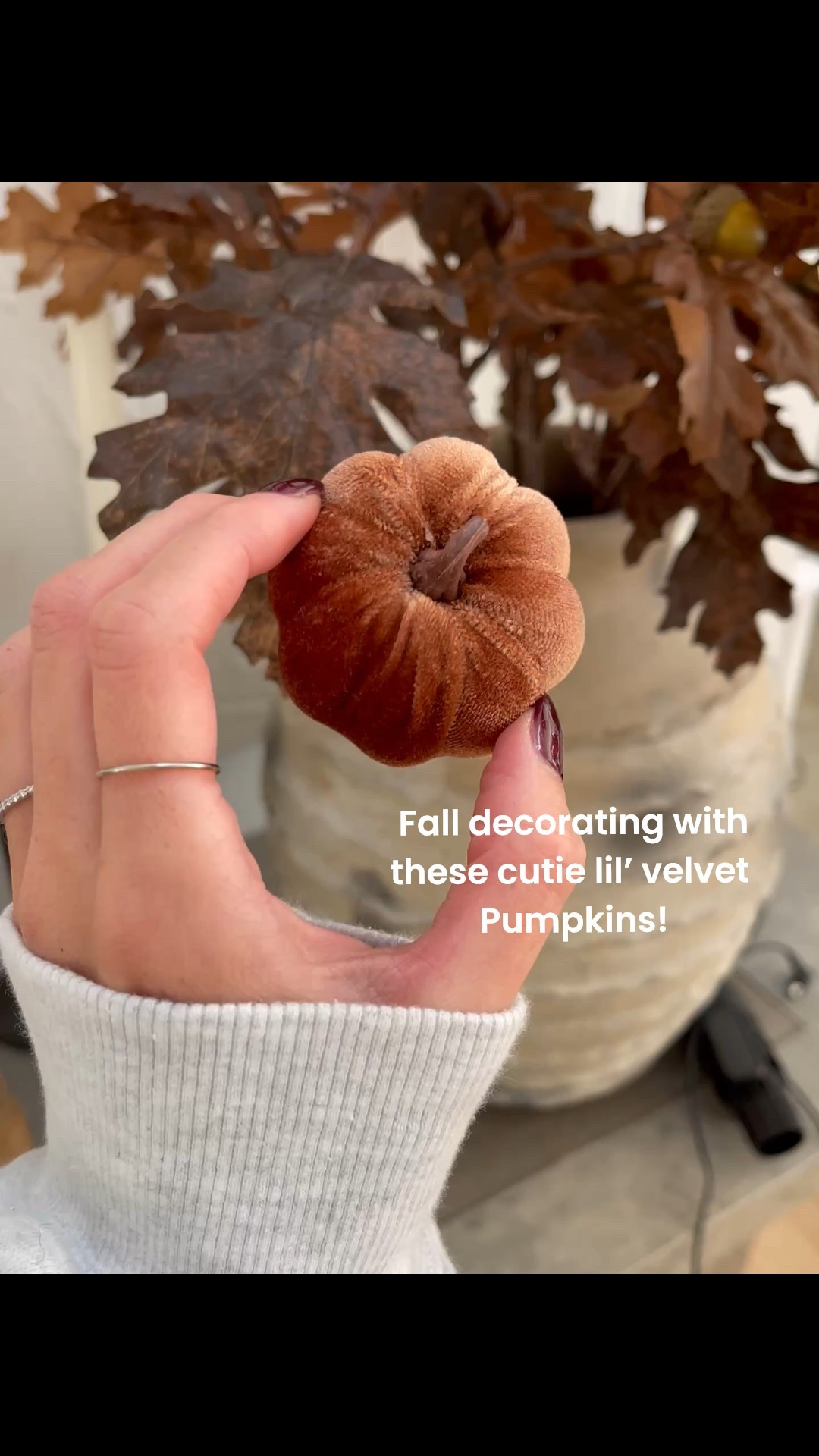 These cutie little pumpkins are so cute to decorate with. They are especially great if you have young kids because they are unbeatable and super soft! 

They come in a few different colors- I’ve had mine since last fall. 



#LTKHalloween #LTKHome #LTKFamily