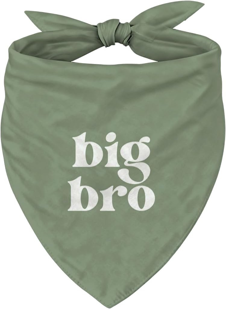 Big Brother Dog Bandana, Adjustable Triangle Dog Scarf, Stylish Green Pet Accessory for Pregnancy Baby Announcement, Gender Reveal or Maternity Photoshoot for Small and Medium Dogs | Amazon (US)