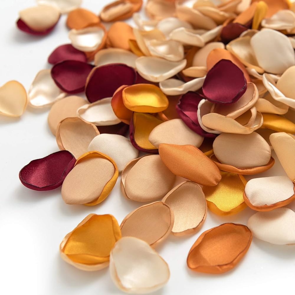 Ling's Moment Rose Petals, 200PCS Silk Rose Petals for Fall, Flower Petals for Wedding Flower Gir... | Amazon (US)