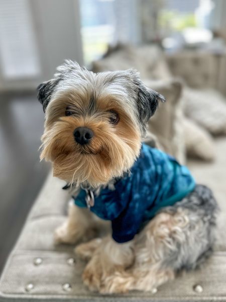Hershey is loving his new hooded sweatshirt. Fitwarm Tie Dye Dog Hoodie Puppy Sweatshirt #sweatshirt #hoodie #dogfashion #fashion #dogs #doggieclothing 