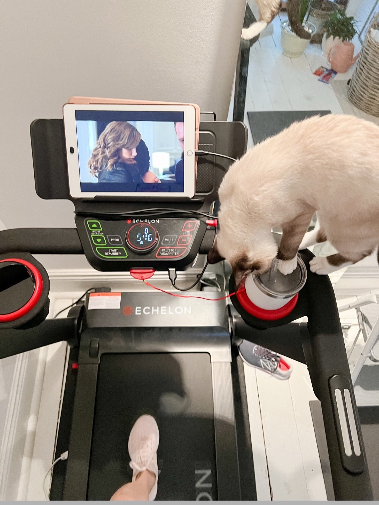 Linking the newer version of my treadmill. Love that it folds down and is easy to wheel to move. I’ve had it for a few years. It’s great! 