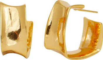 Pari Hoop Earrings | Nordstrom