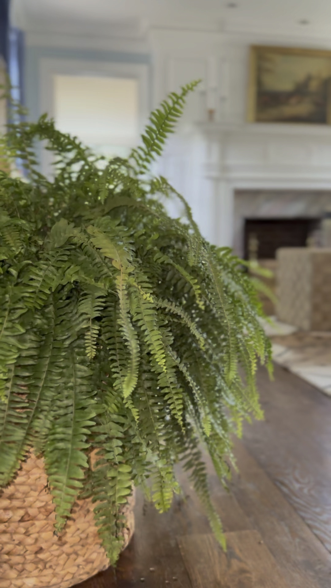 Cozy neutral transitional vibe
#ltkhome

#LTKhome