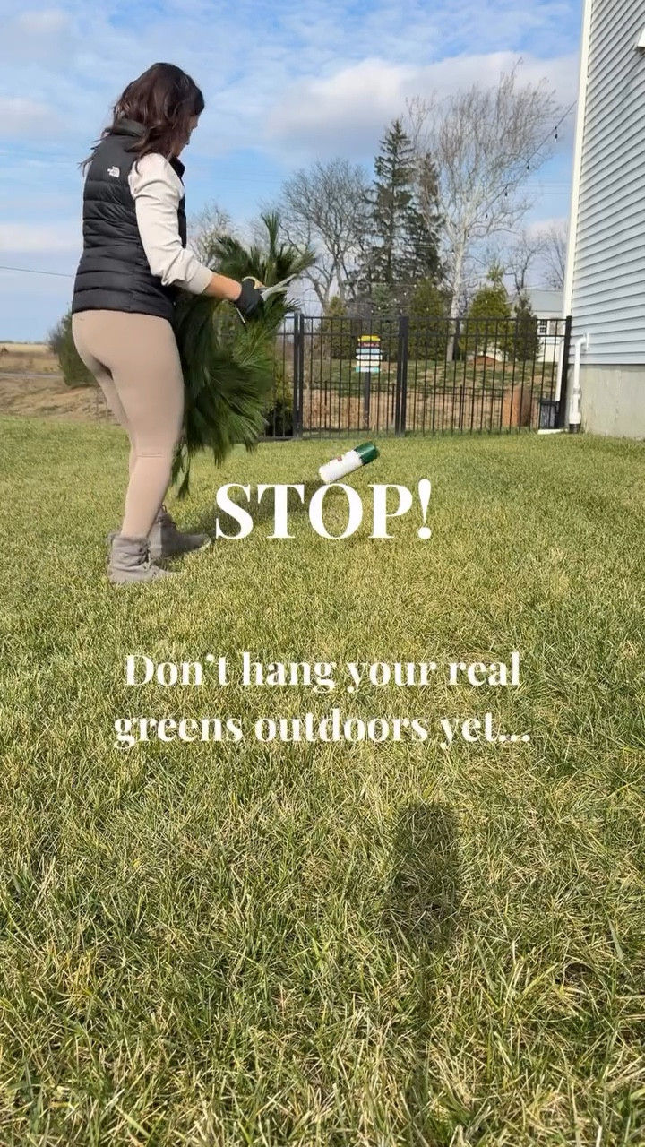 I mix faux and real greens out front…
and only the real ones get a little spray paint.
So when they start to turn brown?
You’d never know the difference. 😂🎄
Details linked in bio.

#holidayhack
#christmasdecor
#frontporchdecor