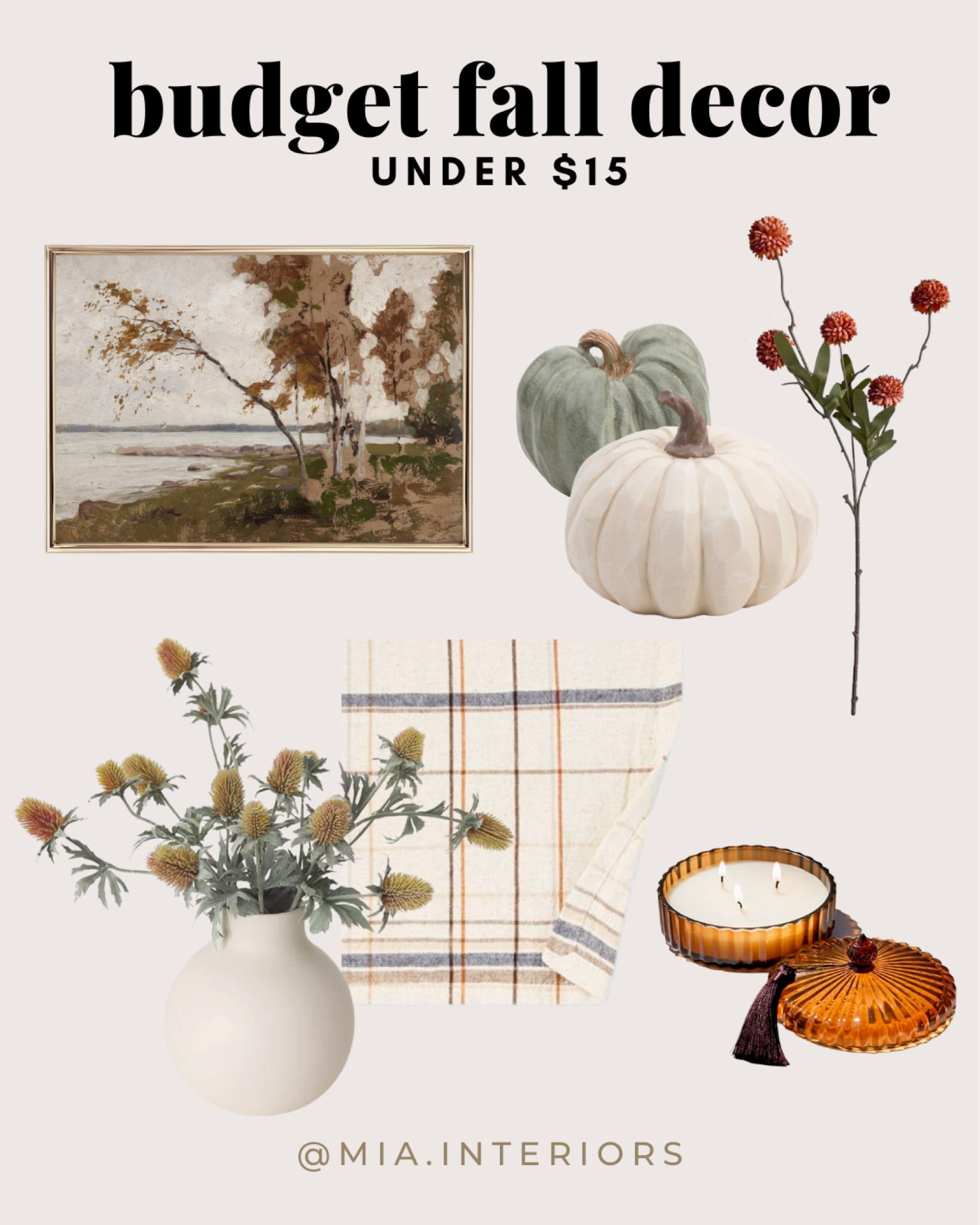 Fall on a budget! $15 or less

#falldecor #budgetfalldecor #fallonsale #fallsale #budgetdecor #fallflorals #fallpainting #fallart #vintageart #fallcandle #anthropologie #pumpkins #decorpumpkins 

#LTKSeasonal #LTKhome #LTKunder50