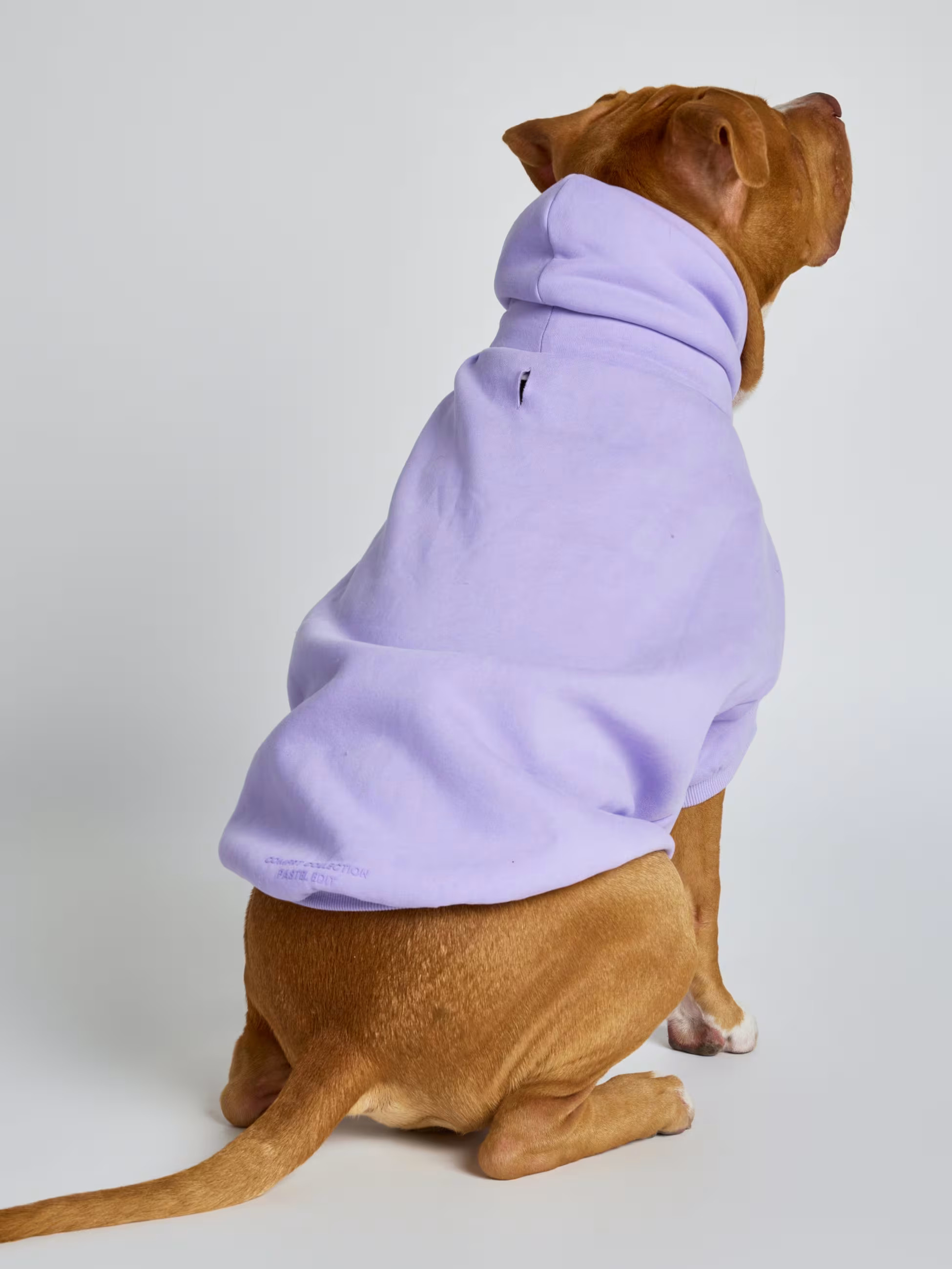 Pastel Paw Hoodie — Comfrt | Comfrt